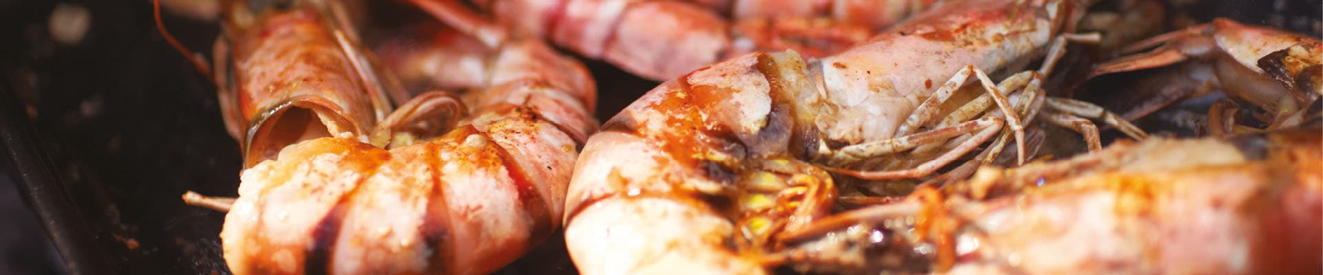 Web Image - 1920x40010 Prawns
