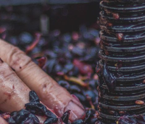 wine making