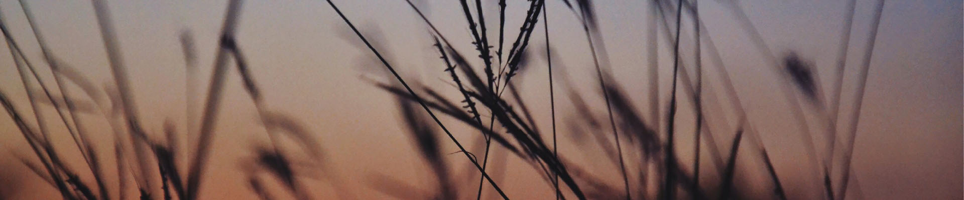 Web Image - 1920x4007 Crops