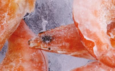 frozen shrimp