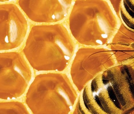 honeycomb