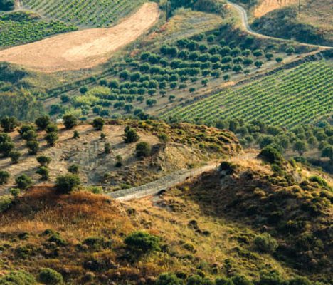 Wine country