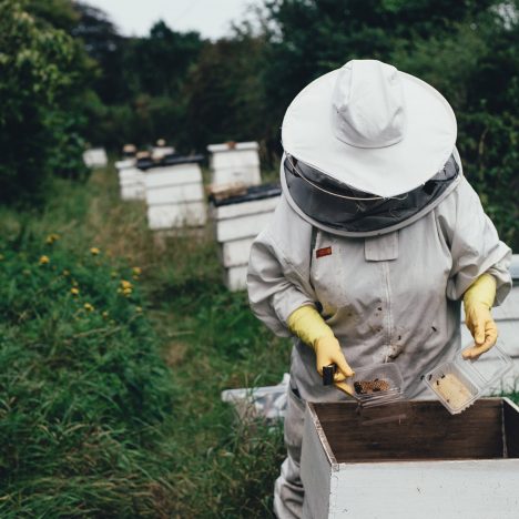 Bee keeper