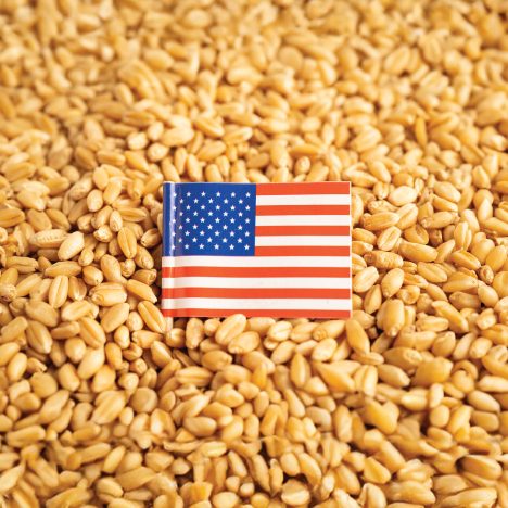 Mycotoxins USA