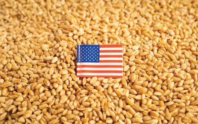 Mycotoxins USA