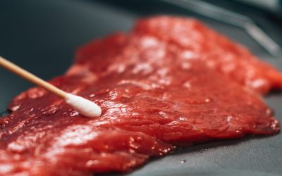 News Banner - FEB26 V2